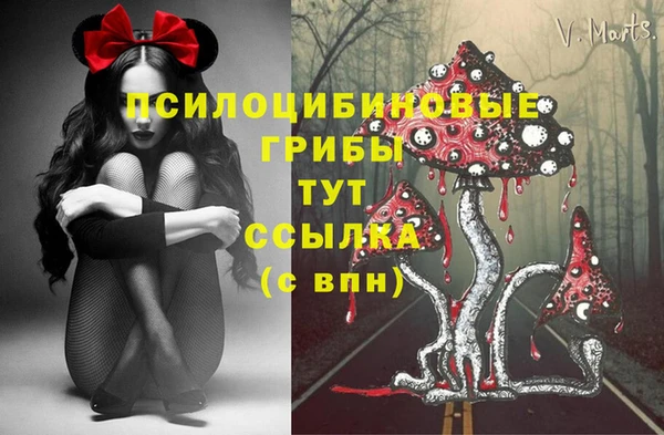 а пвп мука Осташков