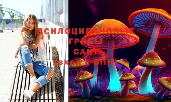 шишки Пестово