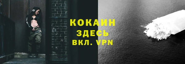 дживик Осинники