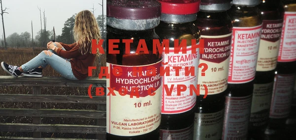 шишки Пестово