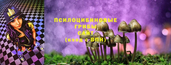 эйфоретик Сосновый Бор
