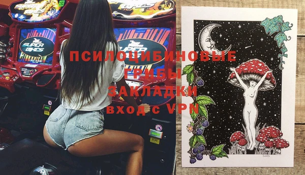 дживик Осинники