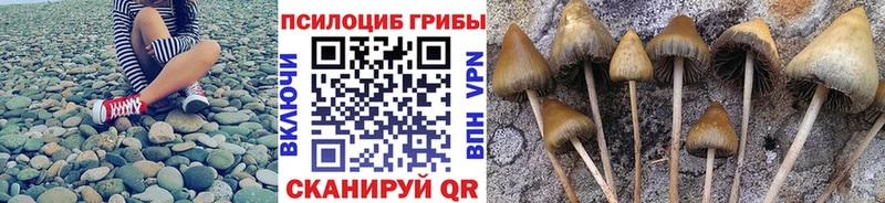 Псилоцибиновые грибы ЛСД  гидра сайт  Нестеров 