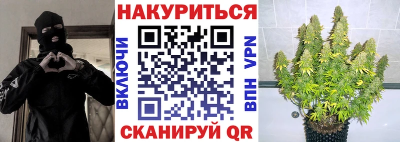 Каннабис Ganja  закладка  Нестеров 
